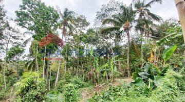 Gambar 2 Tanah Usaha Pembibitan Lele Alat alatnya Dekat Wisata Lembah Indah Gunung Kawi