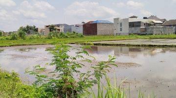 Gambar 2 Sawah Ring 1 Harga Ambyar Jalur Kuning  Nempel Uad 4