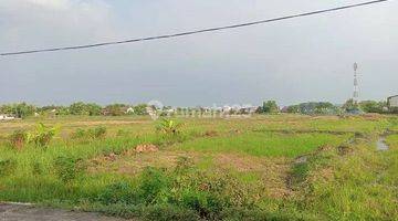 Gambar 2 Dijual Tanah Second Road Lingkar Timur Sidoarjo