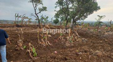 Gambar 1 / kan Tanah di daerah Beber, Cirebon