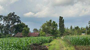 Gambar 2 Tanah Siap Bangun Dekat Museum Angkut di Sisir Batu Malang