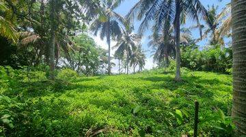 Gambar 1 Commercial Land In Balian With Best Location And Best Ocean View