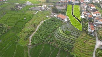 Gambar 3 Land Plot In Canggu Available For Sale With Ricefield View