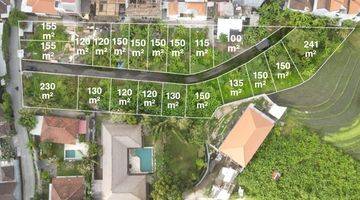 Gambar 2 Land Plot In Canggu Available For Sale With Ricefield View