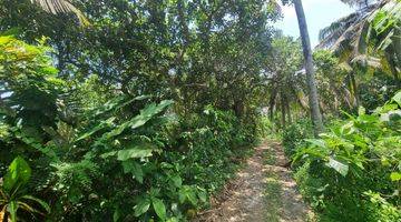 Gambar 2 Commercial Land In Balian With Best Location And Best Ocean View