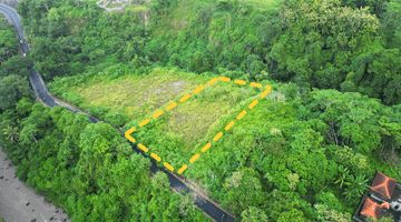 Gambar 1 Tanah Tegenungan Jl Sutami Gianyar, Bali