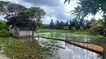 Gambar 4 Tanah SHM Lokasi Strategis Dekat Pantai Keramas Gianyar