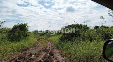 Gambar 1 TANAH LUAS 1 HA SIAP BANGUN