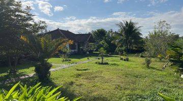 Gambar 4 Dijual tanah Bonus rumah