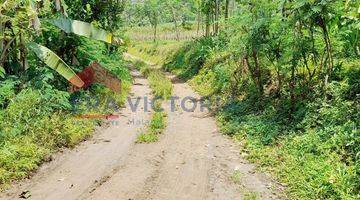 Gambar 4 Tanah Perbatasan Toyomarto Dan Tegalrejo Lokasi Strategis Cocok Untuk Lahan Perkebunan, Perternakan, Rumah Tinggal Dekat Wisata Kebun Teh