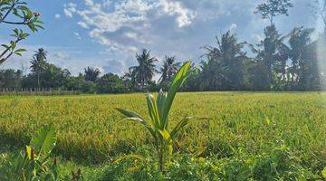 Gambar 5 Villa Modern Tropical Cozy Disewakan, Area Ubud