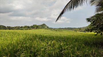 Gambar 3 Tanah Kebun View Sawah Dekat Air Terjun Di Tabanan Bali