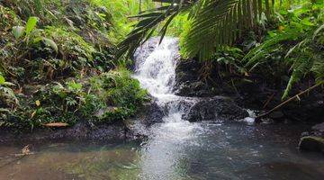 Gambar 2 Tanah Kebun Los Sungai Di Tabanan Bali