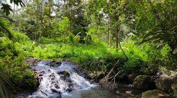 Gambar 4 Tanah Kebun Buah Los Sungai Di Tabanan Bali.