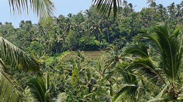 Gambar 3 Tanah Kebun View Lembah Dan Sawah Di Tabanan Bali