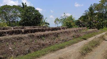 Gambar 4 Tanah Kebun Luas Kecil View Sawah Murah Di Tabanan Bali