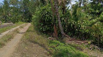 Gambar 5 Tanah Kebun Luas Kecil View Sawah Murah Di Tabanan Bali