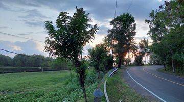 Gambar 2 Tanah Kebun Dekat Pantai Berbatasan Dengan Jalan Utama Di Tabanan Bali