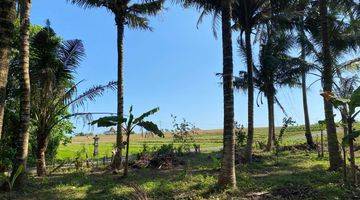 Gambar 3 Tanah Luasan Kecil View Sawah Zona Pariwisata Di Bali