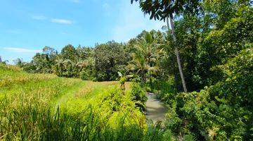 Gambar 4 Tanah Kebun View Lembah Dan Sawah Di Tabanan Bali