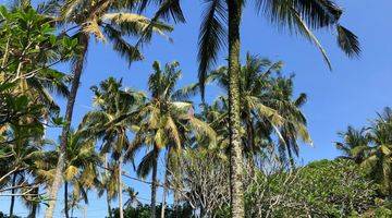 Gambar 5 Jual Tanah Luas Kecil Dekat Pantai Surving Balian Tabanan Bali.