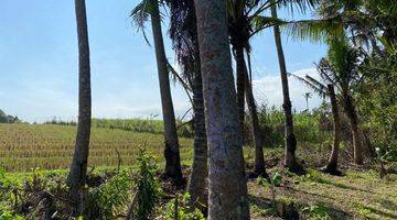 Gambar 5 Tanah Luasan Kecil View Sawah Zona Pariwisata Di Bali