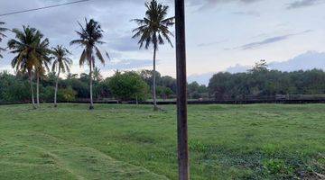 Gambar 4 Tanah Kebun Dekat Pantai Berbatasan Dengan Jalan Utama Di Tabanan Bali