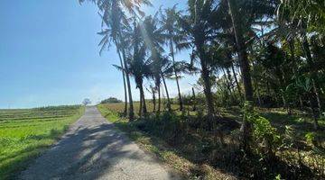 Gambar 1 Tanah Luasan Kecil View Sawah Zona Pariwisata Di Bali