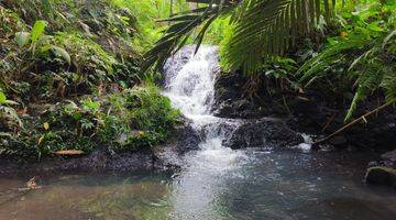 Gambar 1 Tanah Kebun Buah Los Sungai Di Tabanan Bali.