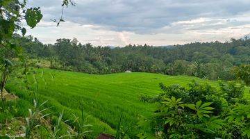 Gambar 5 Tanah Kebun View Sawah Dan Lembah Di Tabanan Bali.