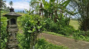 Gambar 5 Tanah Kebun Luas Kecil View Sawah Murah Di Tabanan Bali