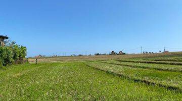 Gambar 2 Tanah Luasan Kecil View Sawah Zona Pariwisata Di Bali