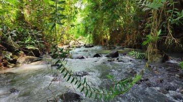 Gambar 5 Tanah Kebun View Lembah Dan Sawah Di Tabanan Bali