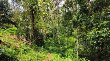 Gambar 5 Tanah Kebun Los Sungai Di Tabanan Bali