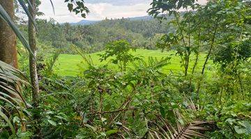 Gambar 4 Tanah Kebun View Sawah Dan Lembah Di Tabanan Bali.