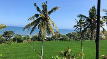 Gambar 3 Jual Tanah Dekat Pantai Surving Balian Tanabanan Bali.