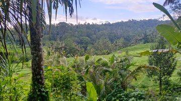 Gambar 2 Tanah Kebun View Sawah Dan Lembah Di Tabanan Bali.