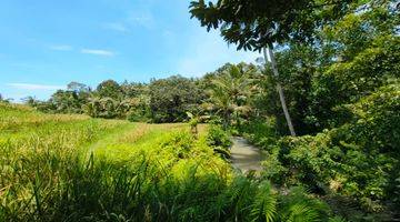 Gambar 5 Tanah Kebun Apokat Los Sungai Di Tabanan Bali.