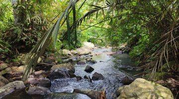 Gambar 5 Tanah Kebun Buah Los Sungai Di Tabanan Bali.