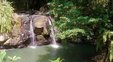 Gambar 2 Tanah Kebun View Sawah Dekat Air Terjun Di Tabanan Bali