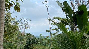 Gambar 3 Tanah Kebun Murah Area Pekutatan Jembrana Bali.