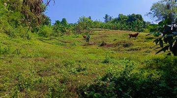 Gambar 4 Jual Tanah Los Sungai Dekat Pantai Surving Balian Tabanan Bali.