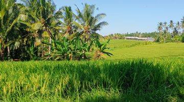 Gambar 4 Jual Tanah Luas Kecil Dekat Pantai Surving Balean Tabanan Bali