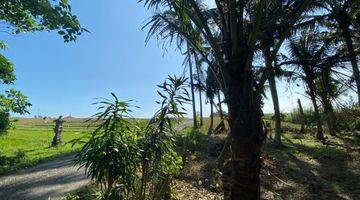 Gambar 4 Tanah Luasan Kecil View Sawah Zona Pariwisata Di Bali