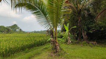 Gambar 4 Tanah Kebun View Sawah Dekat Air Terjun Di Tabanan Bali