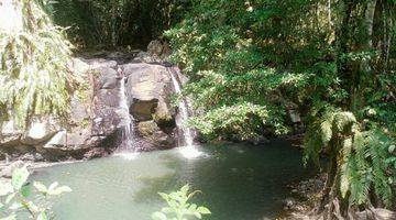 Gambar 5 Tanah Kebun View Sawah Dekat Air Terjun Di Tabanan Bali