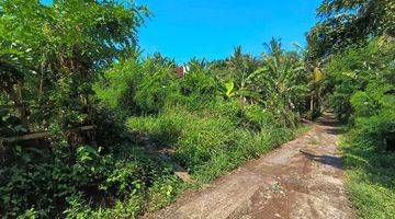 Gambar 3 Jual Tanah Los Sungai Dekat Pantai Surving Balian Tabanan Bali.