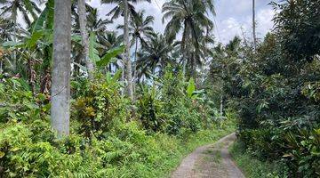 Gambar 2 Tanah Kebun  Isi Durian, Manggis Dan Kopi Di Tabanan Bali