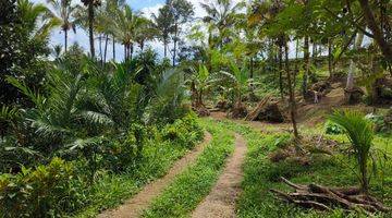 Gambar 1 Tanah Kebun View Lembah Dan Sawah Di Tabanan Bali