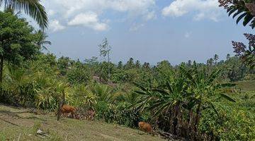 Gambar 2 Tanah Kebun Luas Kecil View Sawah Murah Di Tabanan Bali